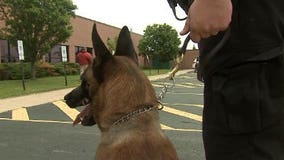 Three Sheriff's K9s passed away this year, five last year