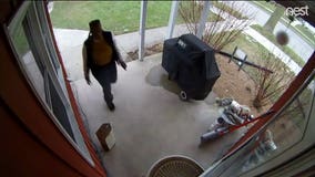 Porch pirates: What to do if you're a victim of a package theft