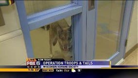 Operation Troops and Tails