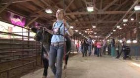 What makes her different makes her great, Brodie Abney takes home a ribbon at the State Fair