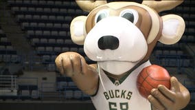 "The response has just been overwhelming:" Meet the newest member of the Bucks