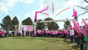 Join the fight against breast cancer: Take part in the Making Strides walk