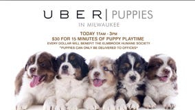 Having a "ruff" week? Uber will deliver PUPPIES to play with in Milwaukee