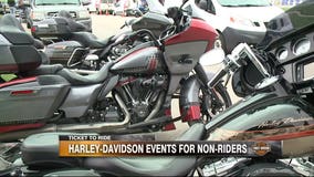 Rundown of events: You don't have to ride a bike to celebrate Harley's 115th anniversary