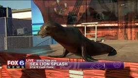 Wisconsin State Fair kicks off Thursday, runs through Aug. 11