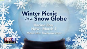 Winter Picnic in a Snow Globe offers an 'unforgettable private experience'