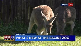 New programs offered at Racine Zoo, keep social distancing in mind