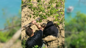 Racine County sheriff's deputies rescue man from cliff