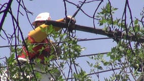 When will the lights come back on? Homeowners urged to be patient