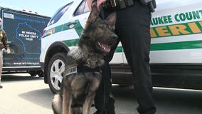 Ozaukee County Sheriff's Office swears in new K-9 unit 'Rev'