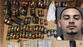 'A ton of vials:' Kenosha man charged after K-9 led to recovery of 206 THC vape cartridges along I-94