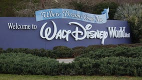 Worker dies in 'industrial accident' at Walt Disney World