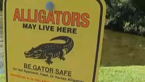 90-year-old woman killed by alligator at South Carolina nursing home