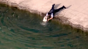 Police officer saves thirsty dog after it tumbles into Lake Michigan