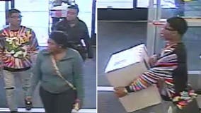 Menomonee Falls police look to track down group who stole $350 sewing machine