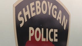 Sheboygan police looking for owner of dog who bit woman