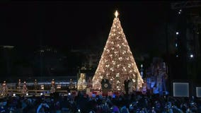 President Trump lights National Christmas Tree in holiday tradition