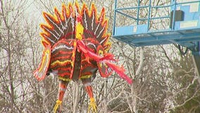 "One of those crazy things you do in Wisconsin:" More than 1,000 attend "Turkey Blow Up" event