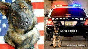 K-9 Ezzo retires after 50+ dog years with the Cudahy Police Department