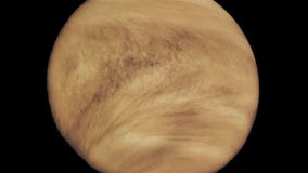 Astronomers see possible hints of life in Venus's clouds