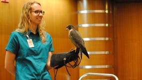 We Energies celebrates Earth Day with event featuring endangered species