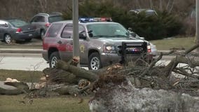 "Pretty intense:" Whipping winds cause downed light poles, power outages