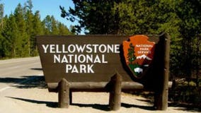 3-year-old falls into Yellowstone National Park thermal feature