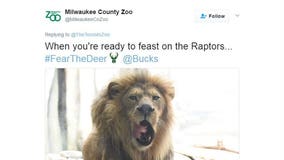 Bucks hype: Milwaukee County Zoo tweets at Toronto Zoo, "We're hungry for a win!"