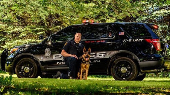 Burglary suspect faces multiple charges including striking a police animal