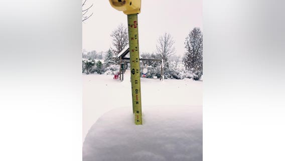 Pictures: View and submit pictures of the snow in your neighborhood