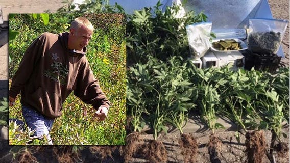 Probation for man convicted after marijuana found growing on private property in Caledonia