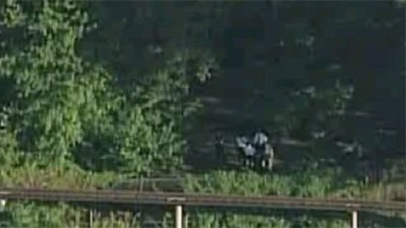 Tigers' den jumper wanted 'to be one' with beast, police say