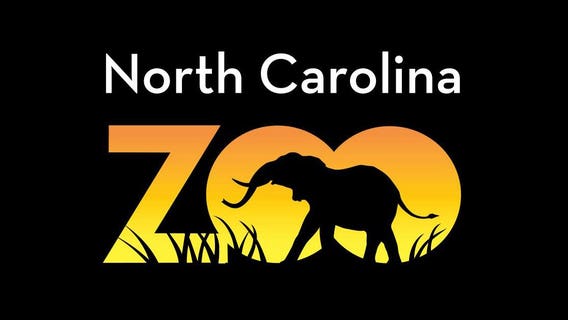 As people evacuate before hurricane, zoo animals move inside