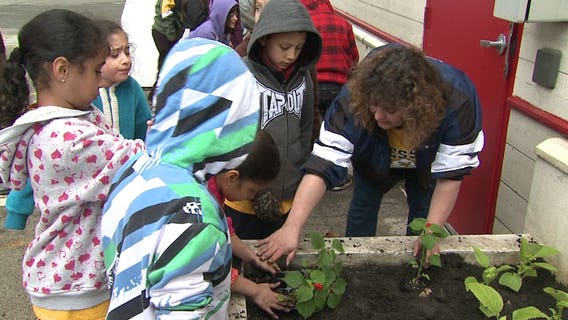 Hundreds of volunteers take part in Summerfest Planting Day