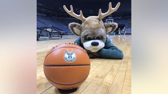 The 30th and final season for Bucks basketball at the BMO Harris Bradley Center tips off tonight