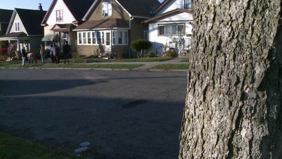 6 arrested after man is beaten to death on Milwaukee's south side