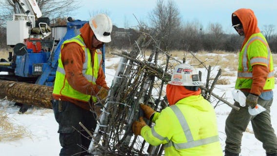 Waukesha County partners with We Energies to restore osprey habitat in Fox River Park