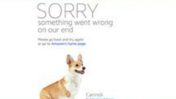 'Uh-oh, something went wrong:' Amazon's Prime Day runs into early snags