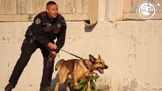 Racine County sheriff's deputy named Wisconsin K-9 Handler of the Year