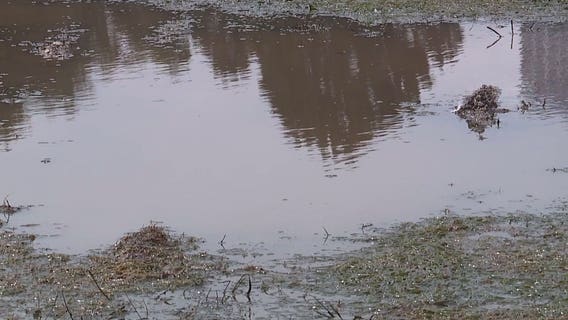 Most of Veterans Park closed early due to mud; H-D officials change end of parade route