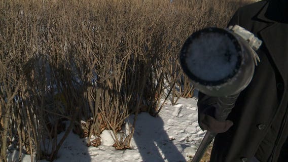 Heavy rain can cause issues for your sump pump -- and so can sub-zero temperatures