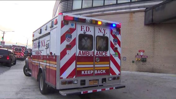 Smell of cooking fish suspected in death of food allergic 11-year-old boy