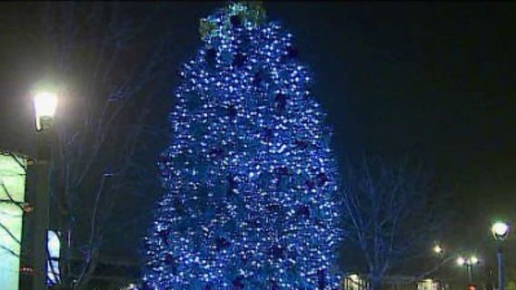 Milwaukee City/County Christmas tree glowing in Red Arrow Park
