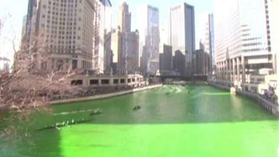 Chicago River dyed green for St. Patrick's Day festivities