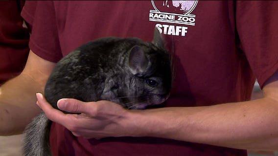 Wrap up the summer by heading to these Racine Zoo events