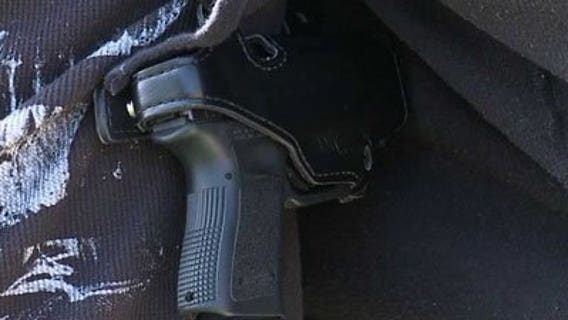 Racine officials want to exempt themselves from gun ban