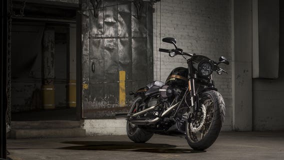 Ready to ride: Harley-Davidson pulls the wraps off two new bikes for 2016