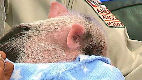 Racine Zoo offering a mother of a deal on Mother's Day