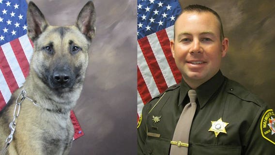 To protect and serve: Walworth County Sheriff's Office welcomes new K-9 team
