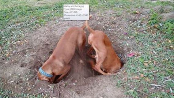 Winners of We Energies "Safe Digging" campaign enjoy grand unveiling of ad at Energy Park